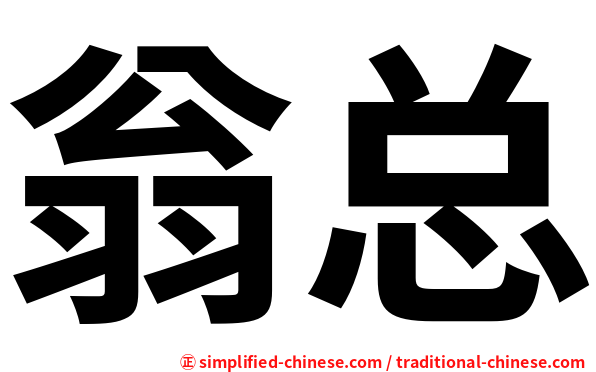 翁总