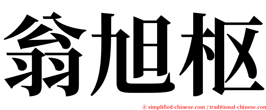 翁旭枢 serif font