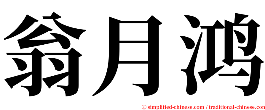 翁月鸿 serif font