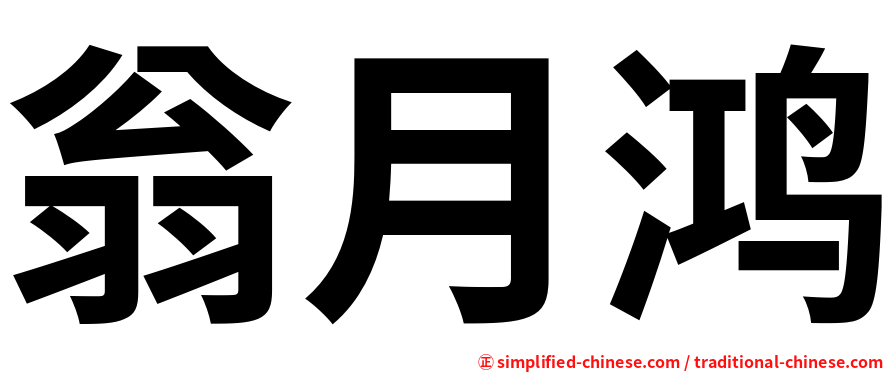 翁月鸿