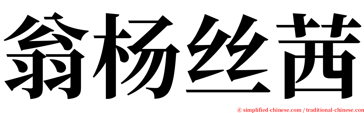 翁杨丝茜 serif font