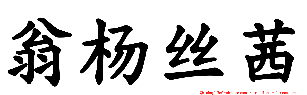翁杨丝茜
