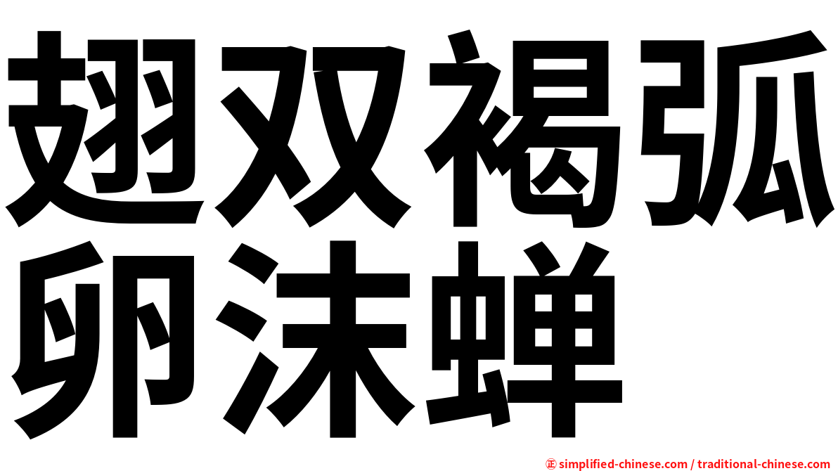 翅双褐弧卵沫蝉