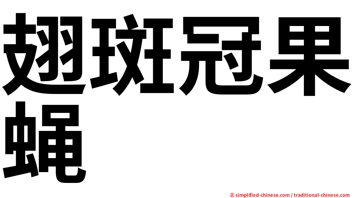 翅斑冠果蝇