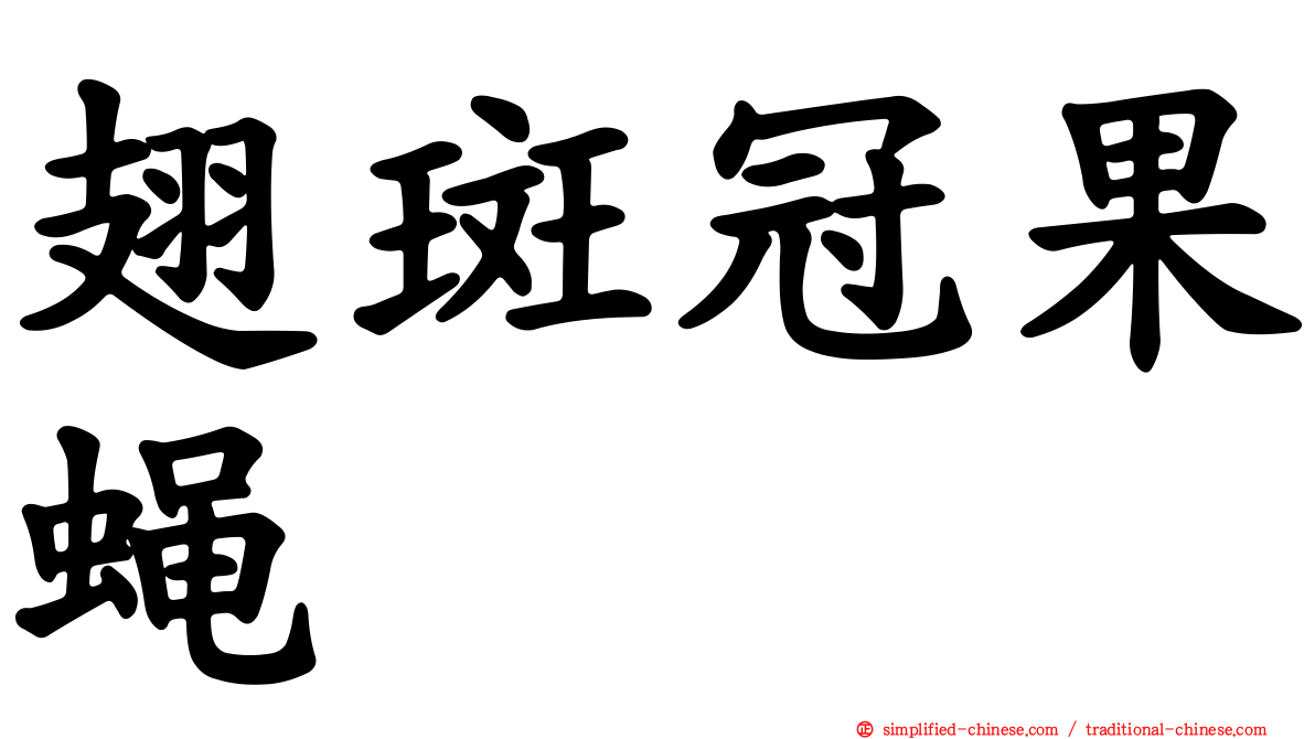 翅斑冠果蝇