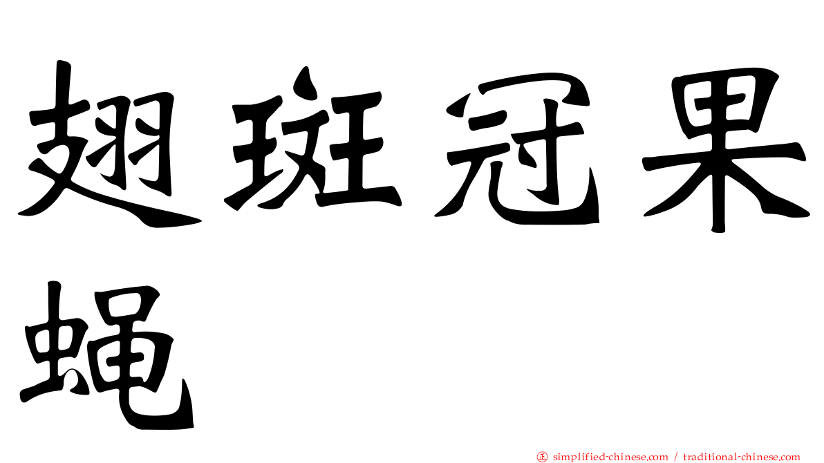 翅斑冠果蝇