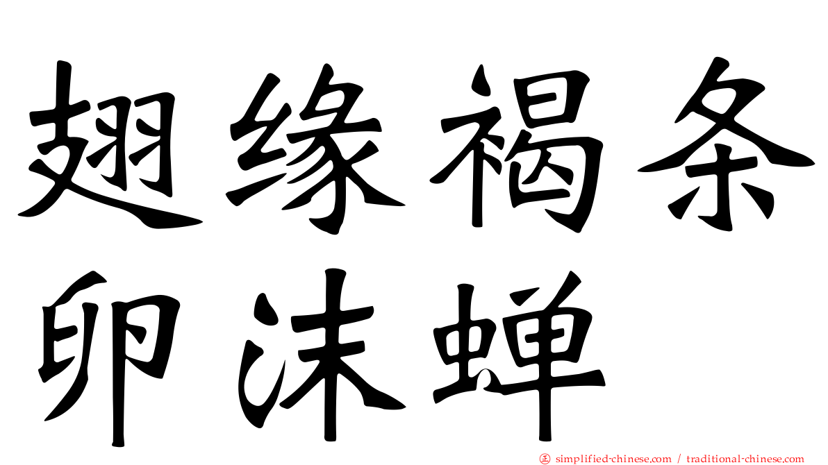 翅缘褐条卵沫蝉