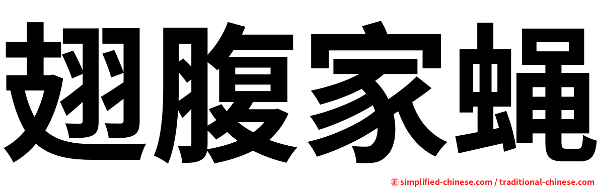 翅腹家蝇