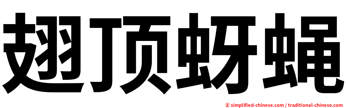 翅顶蚜蝇