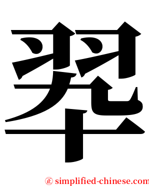 翆 serif font