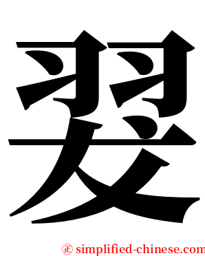 翇 serif font