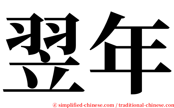 翌年 serif font
