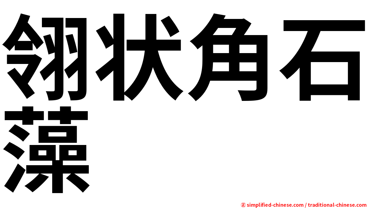 翎状角石藻