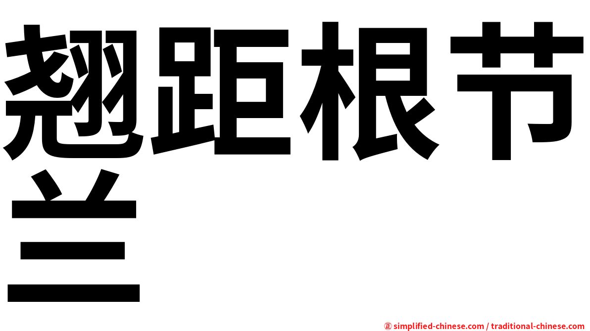 翘距根节兰