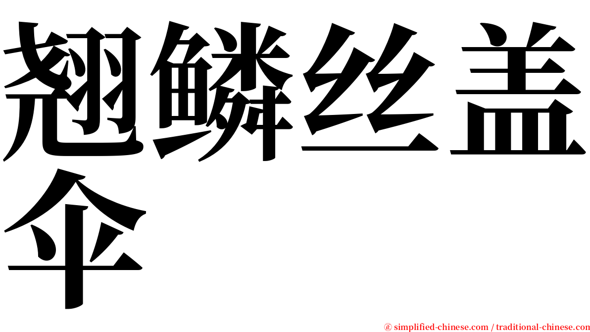 翘鳞丝盖伞 serif font