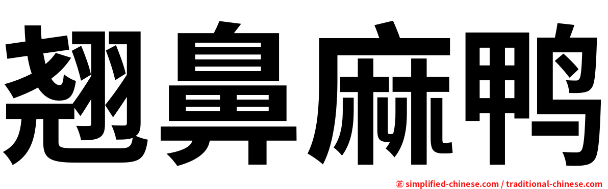 翘鼻麻鸭