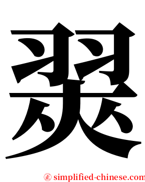 翜 serif font