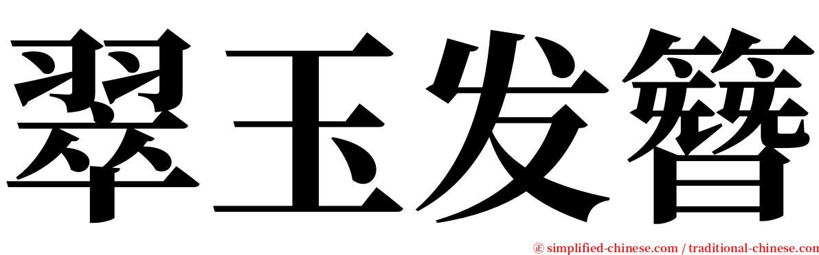 翠玉发簪 serif font