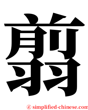 翦 serif font