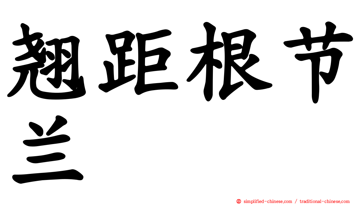 翘距根节兰