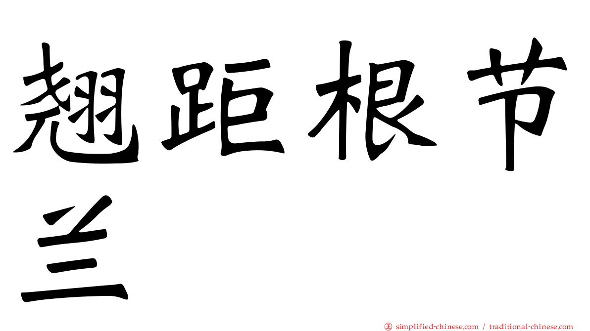 翘距根节兰