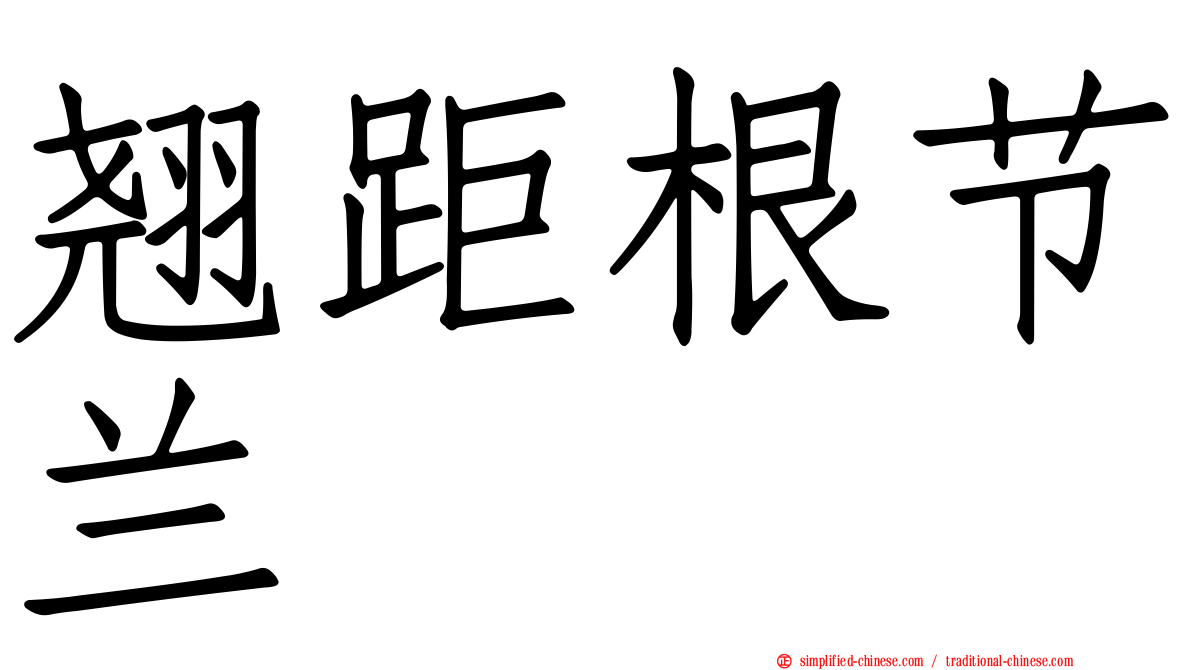 翘距根节兰