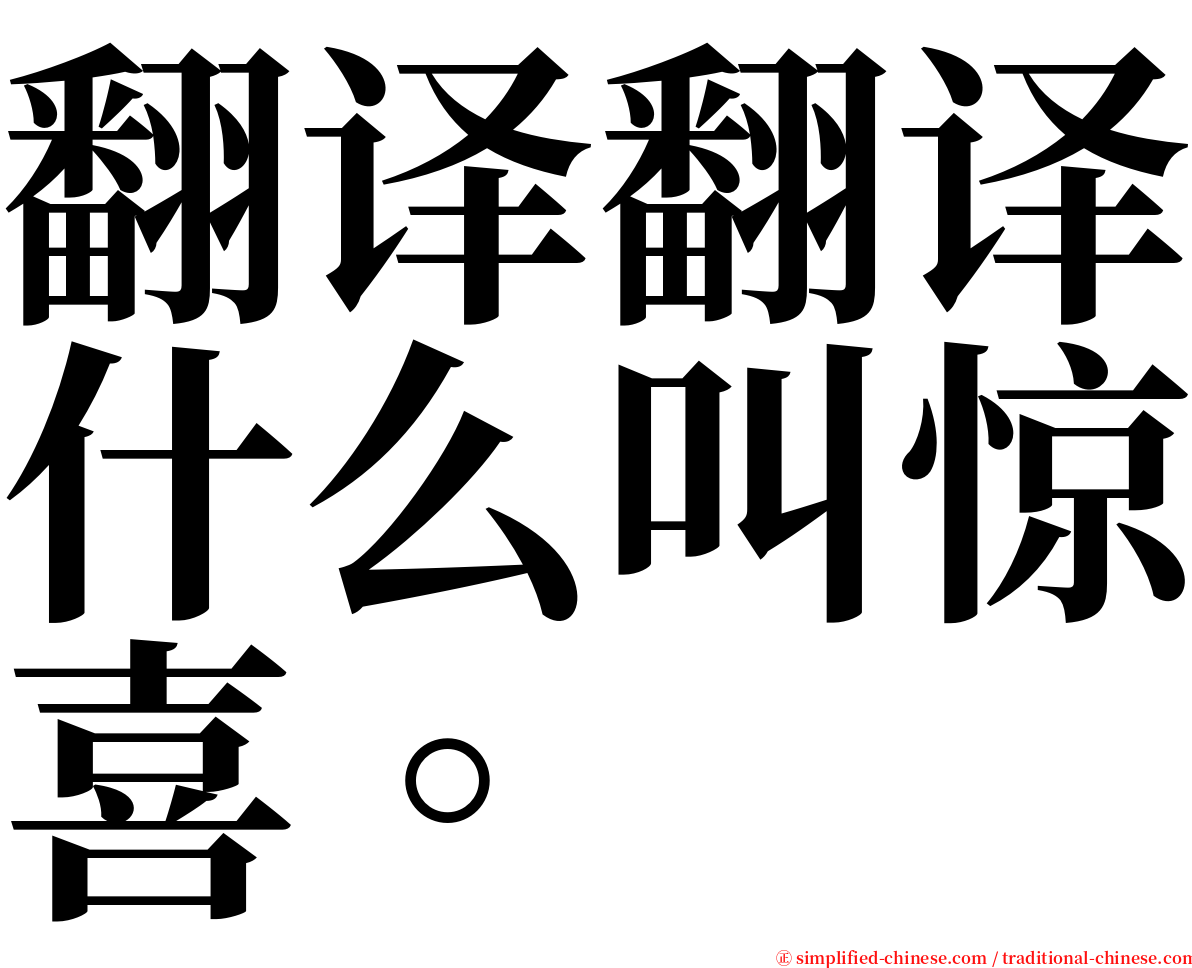 翻译翻译什么叫惊喜。 serif font