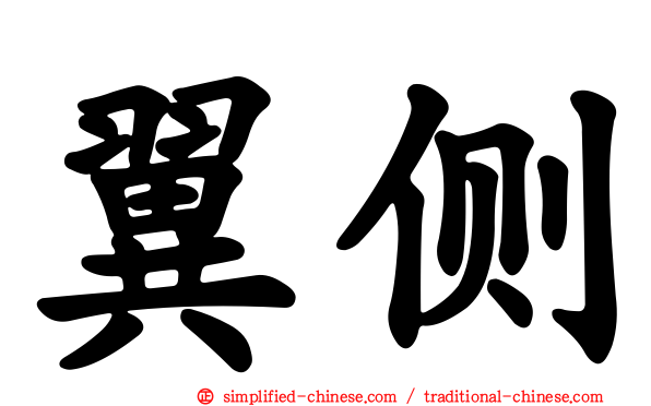 翼侧