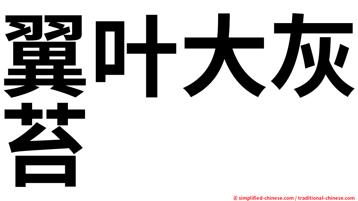 翼叶大灰苔
