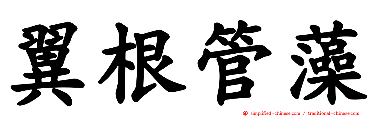 翼根管藻