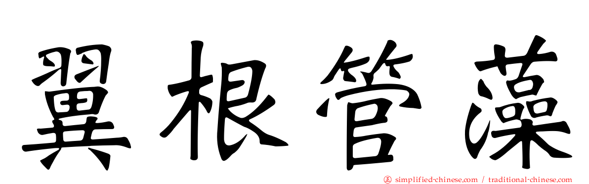 翼根管藻