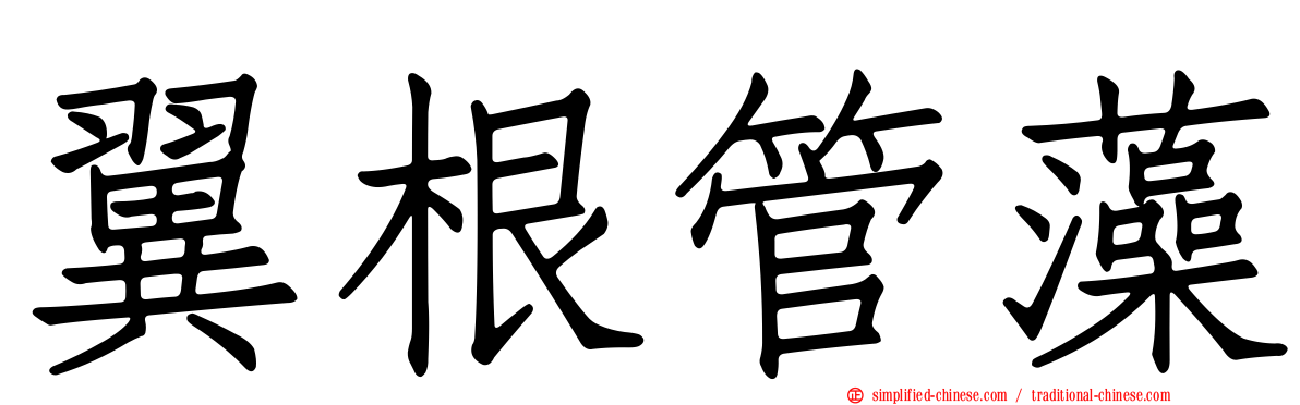 翼根管藻