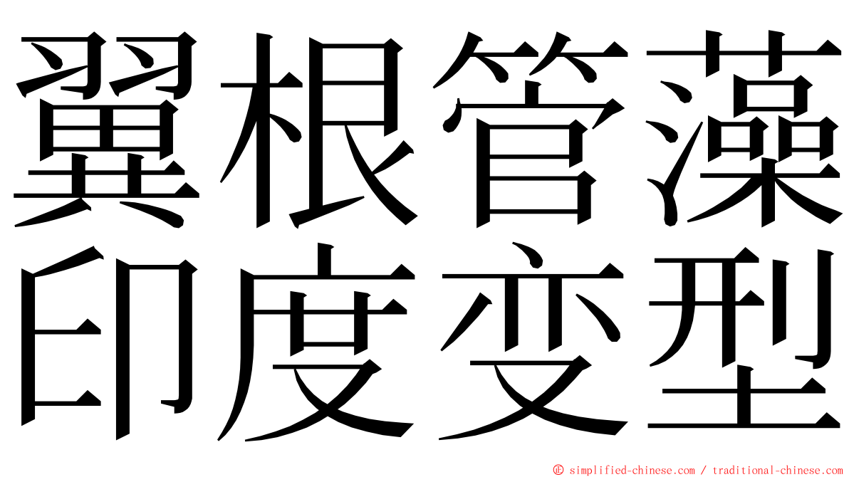 翼根管藻印度变型 ming font