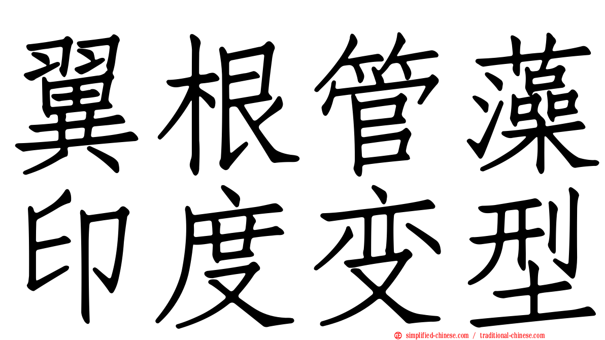 翼根管藻印度变型