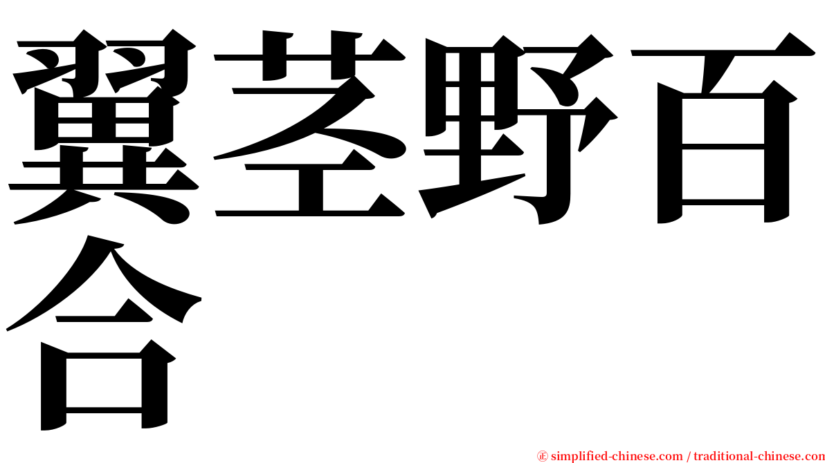翼茎野百合 serif font