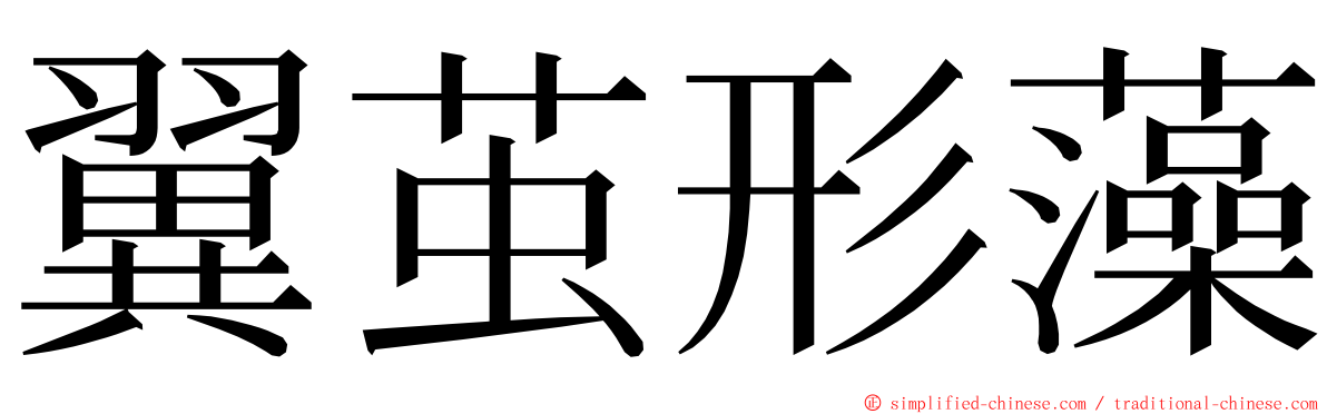 翼茧形藻 ming font