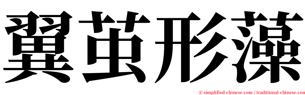 翼茧形藻 serif font