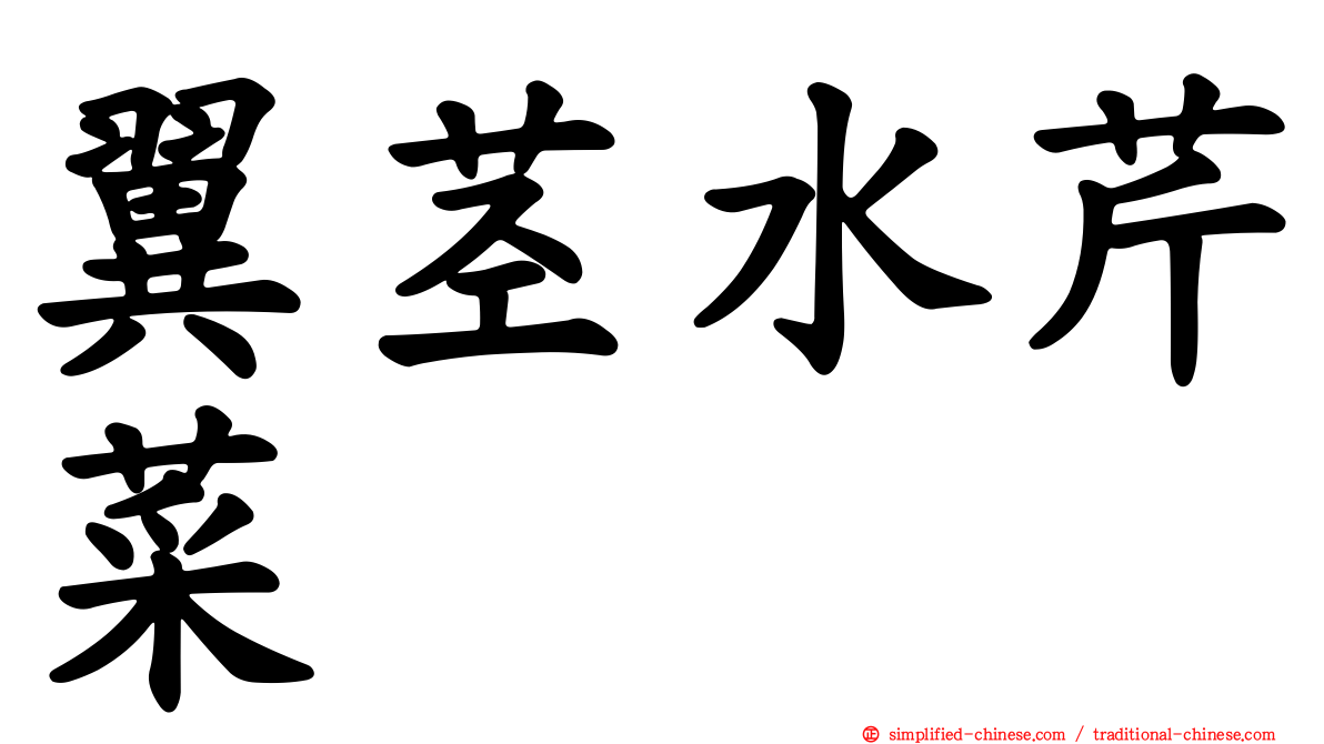 翼茎水芹菜