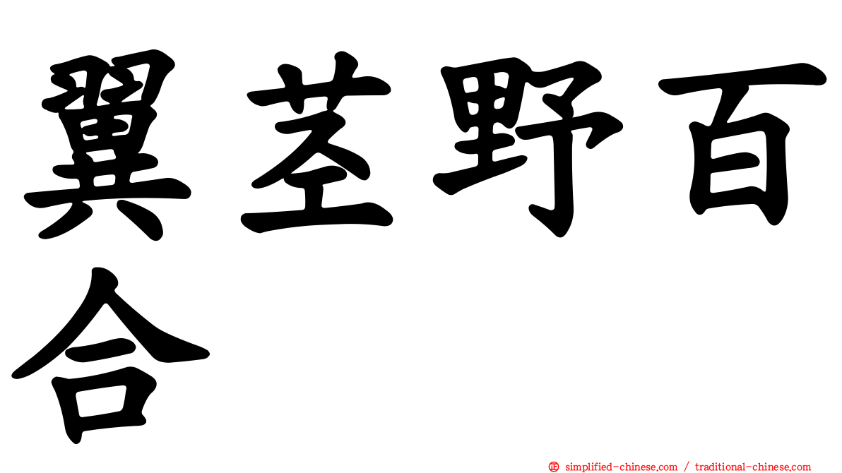 翼茎野百合