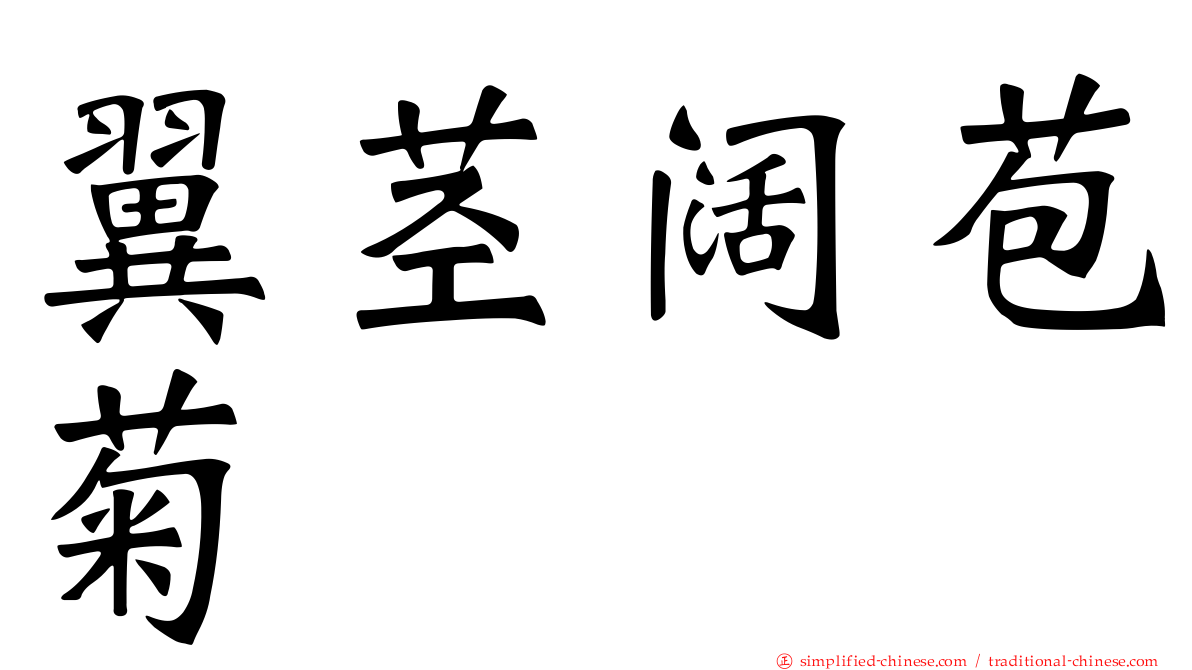 翼茎阔苞菊