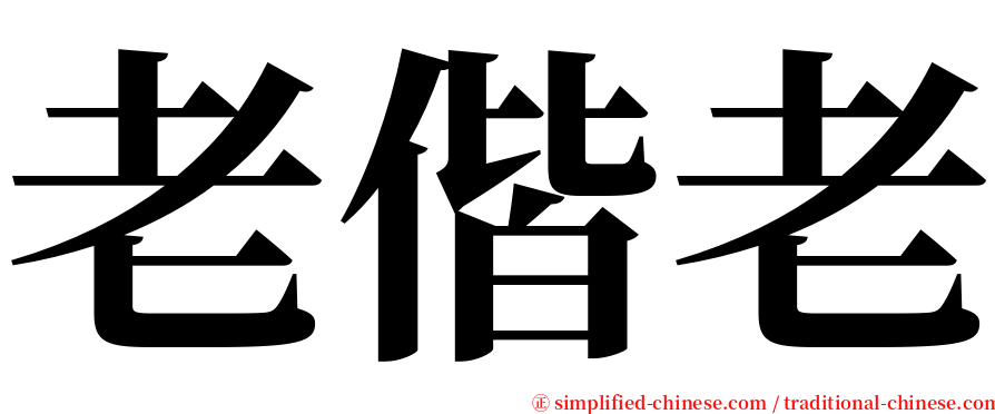 老偕老 serif font