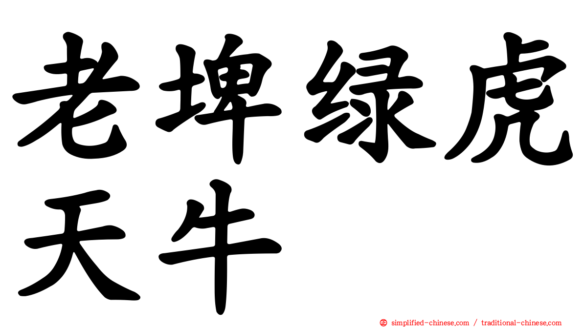 老埤绿虎天牛