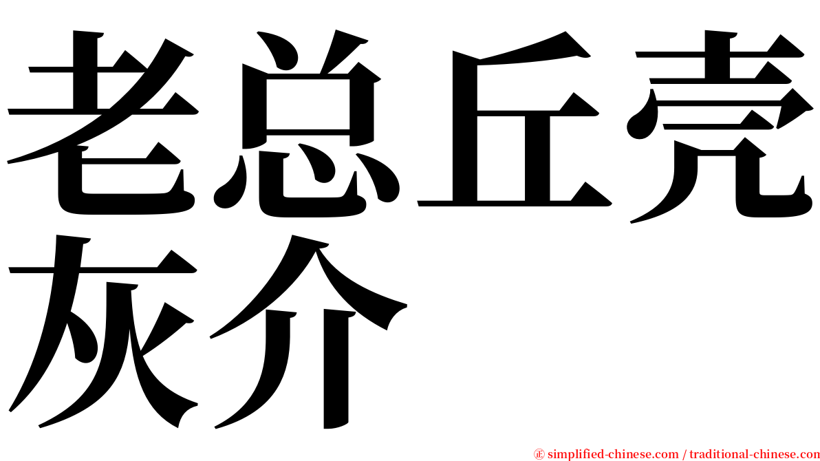 老总丘壳灰介 serif font
