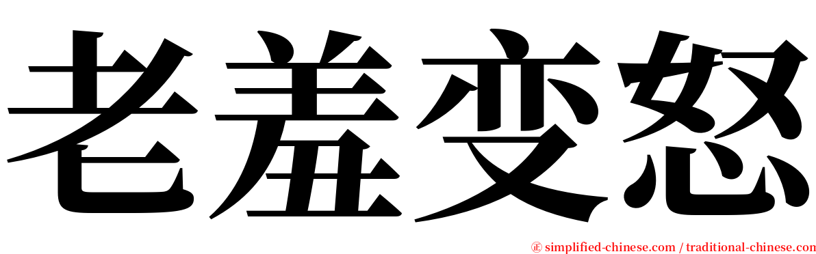 老羞变怒 serif font