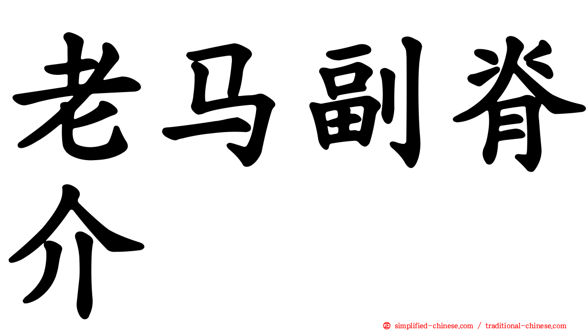 老马副脊介