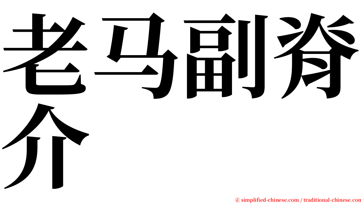 老马副脊介 serif font