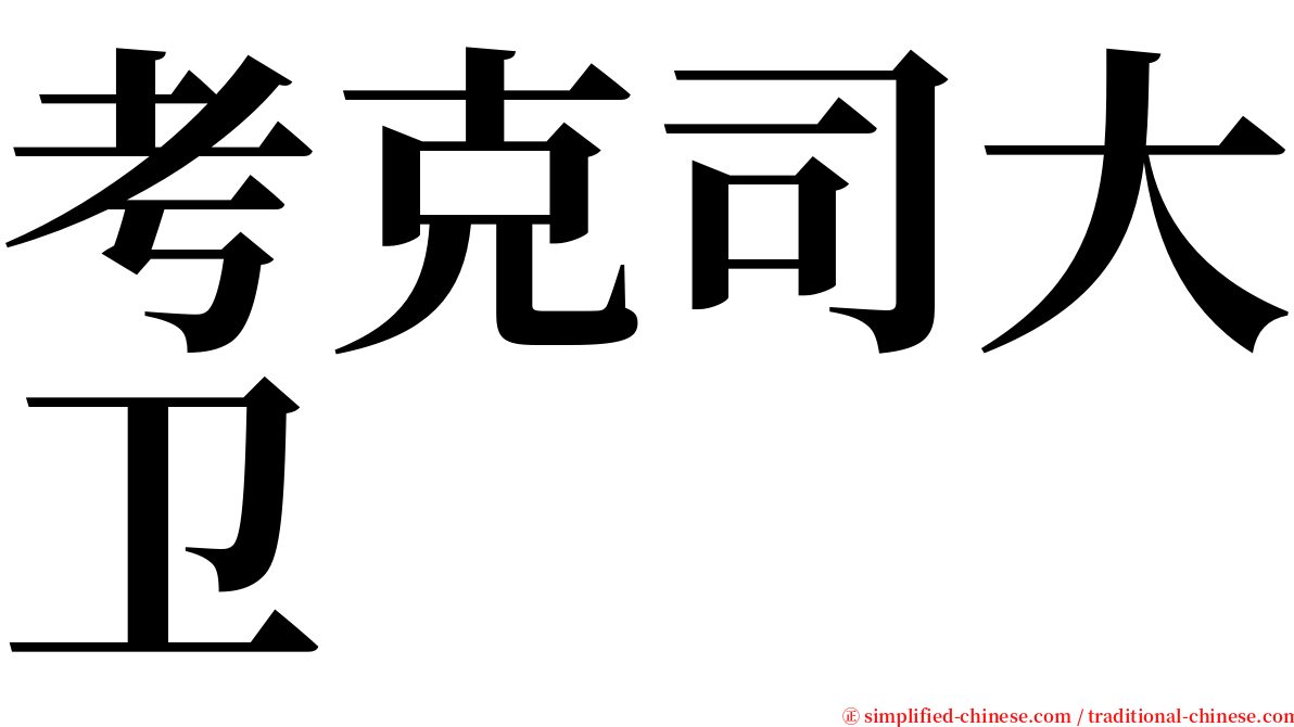 考克司大卫 serif font