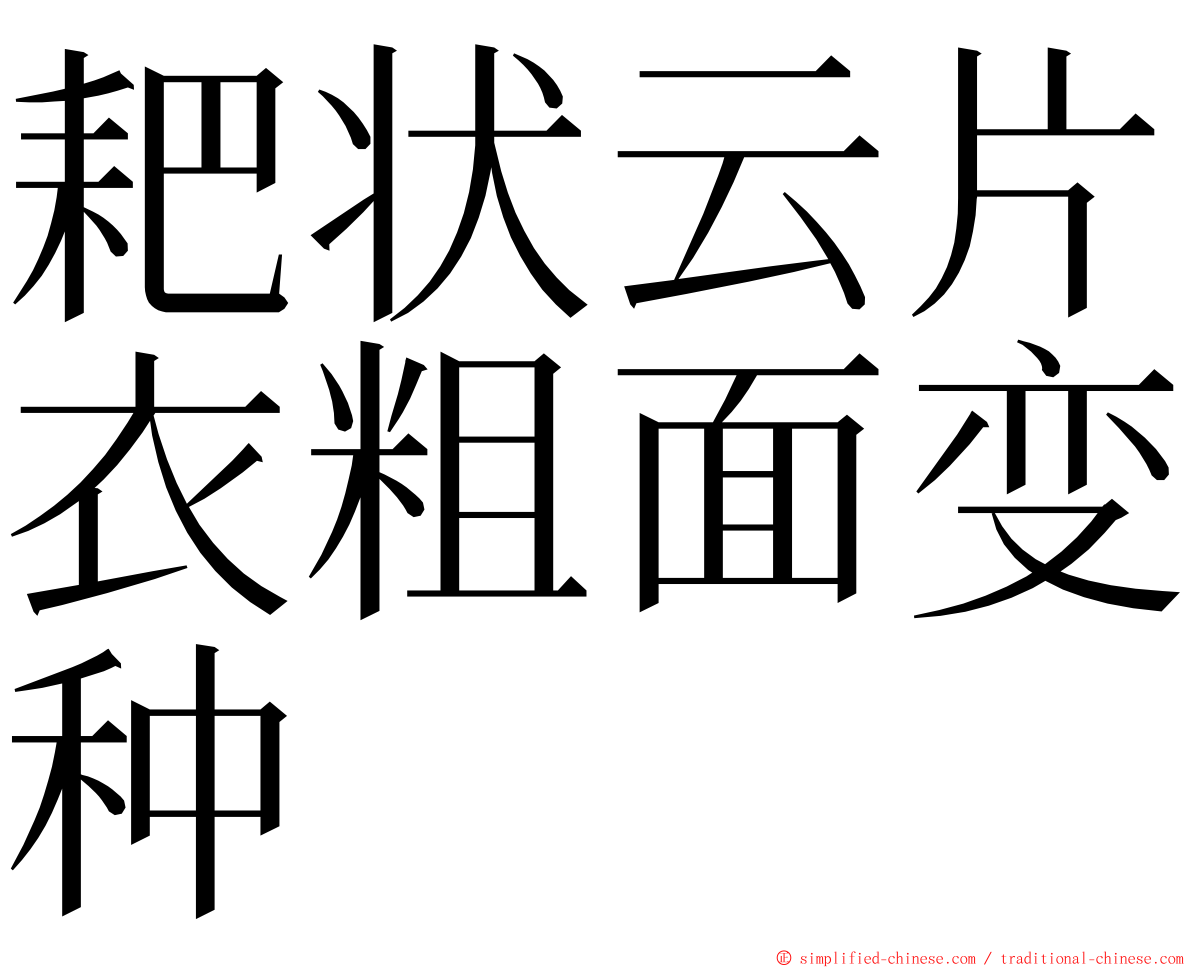 耙状云片衣粗面变种 ming font