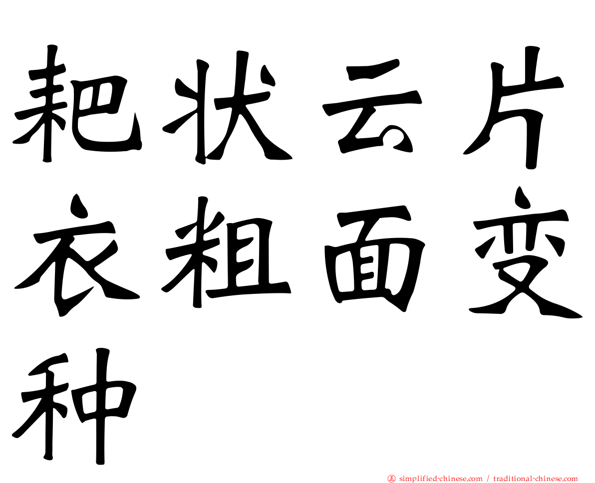 耙状云片衣粗面变种