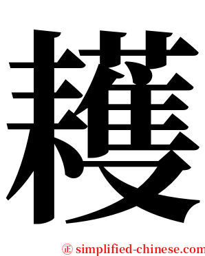 耯 serif font